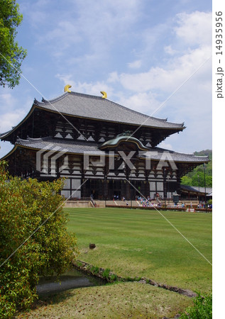 東大寺04 東大寺04 14935956