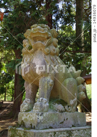 東大寺16 14936079