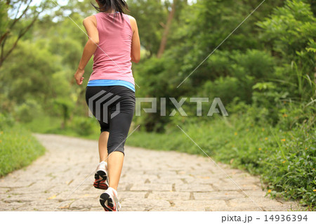 young fitness woman running at forest trail young fitness woman running at forest trail 14936394