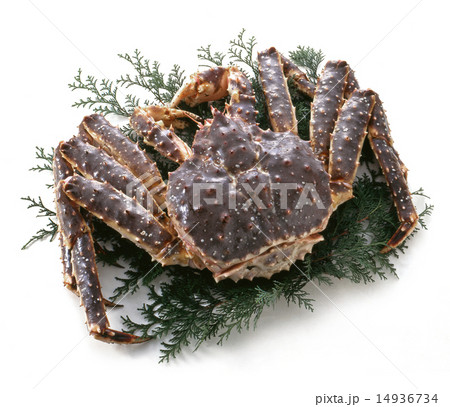 生タラバガニ 14936734