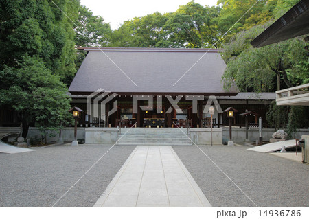 乃木神社 14936786