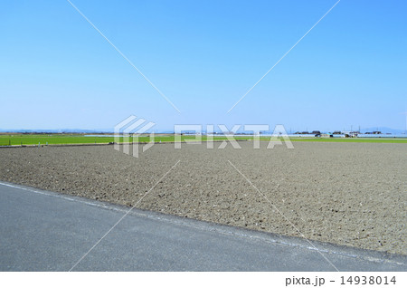 広い田園地帯 14938014