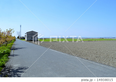 広い田園地帯 14938015