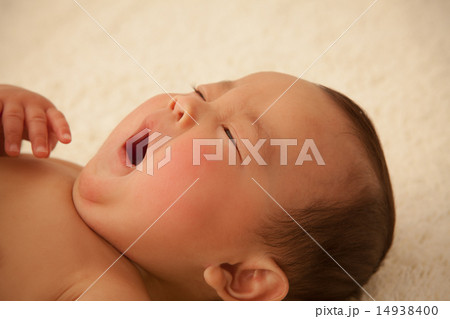 6 months old 6 months old 14938400