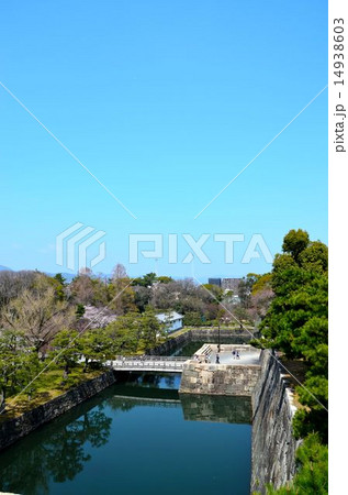 二条城　西橋 14938603