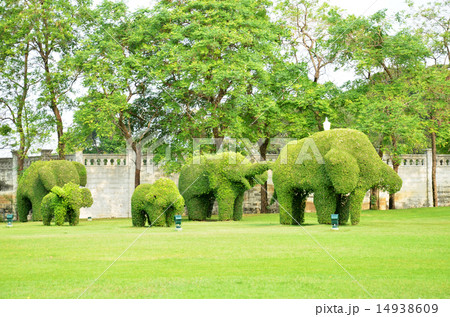 The green elephant tree in Bang Pa-In palace The green elephant tree in Bang Pa-In palace 14938609