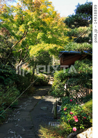 浄妙寺の紅葉 14938899