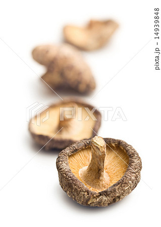 dried shiitake mushrooms dried shiitake mushrooms 14939848