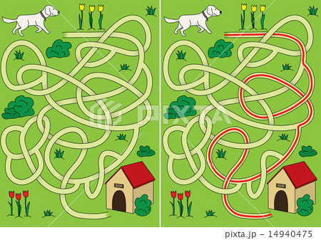 Dog maze Dog maze 14940475
