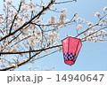 桜 14940647