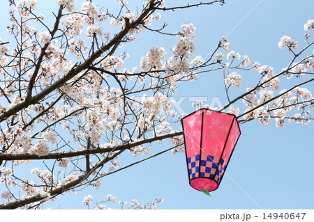 桜 14940647