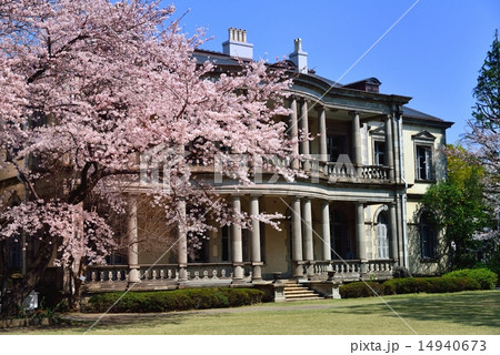 清泉女子大学本館(旧島津公爵邸) 14940673