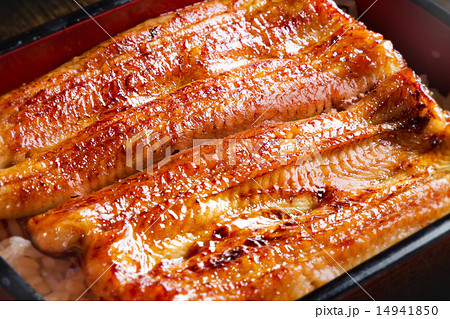 鰻の蒲焼き　 Kabayaki high quality Japanese food 14941850