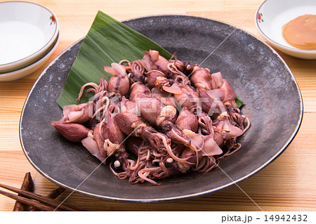 春の味覚　釜ゆでホタルイカ 14942432
