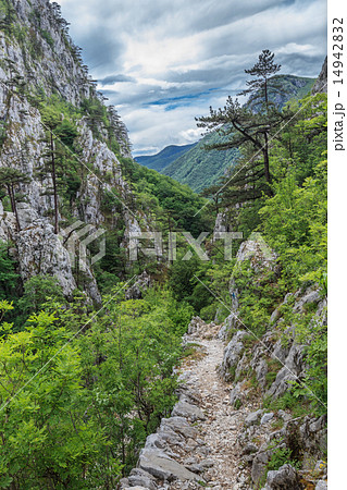 Tasnei Gorge Tasnei Gorge 14942832