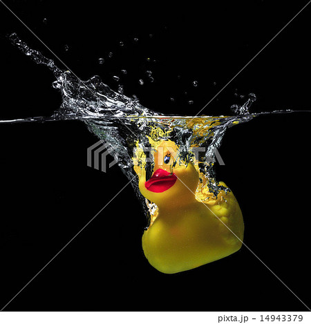 Rubber duck bath under water on a black background 14943379