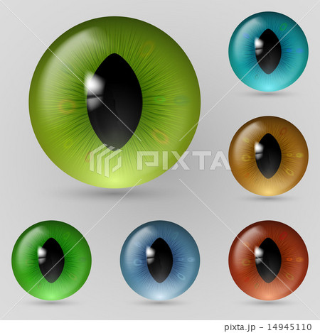 Eyes reptiles 14945110