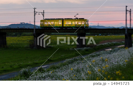 電車 筑豊電鉄 電車 筑豊電鉄 14945725