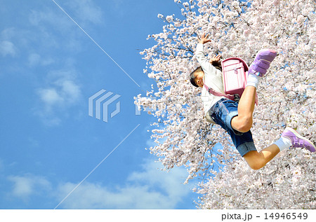 ジャンプする女の子(春、桜、ランドセル) ジャンプする女の子(春、桜、ランドセル) 14946549