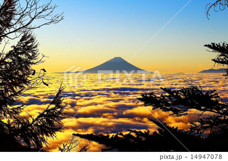 権現岳から朝焼けの富士山 権現岳から朝焼けの富士山 14947078