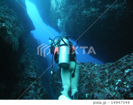サイパンの岩の切れ目を潜って進むダイバー サイパンの岩の切れ目を潜って進むダイバー 14947349