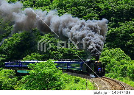 新緑 釜石線SL銀河号 新緑 釜石線SL銀河号 14947483