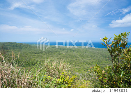 沖縄の風景・伊部岳からの眺め 14948831
