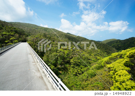 沖縄の風景・新緑のヤンバル 沖縄の風景・新緑のヤンバル 14948922