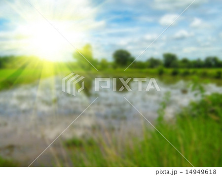 Abstract blur background of colorful nature 14949618