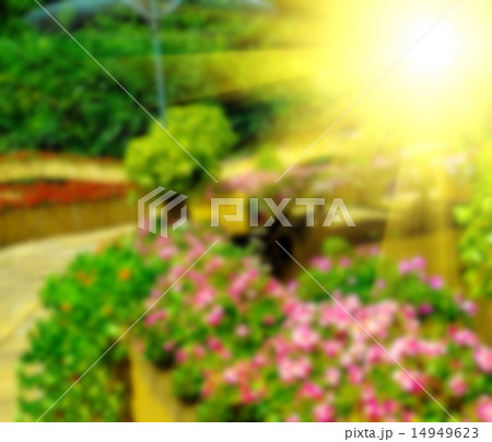 Abstract blur background of colorful nature Abstract blur background of colorful nature 14949623