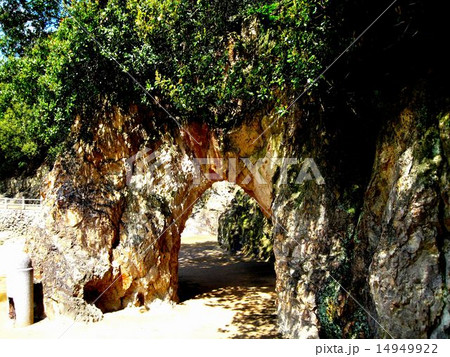鞆の浦　仙酔島の風景 14949922