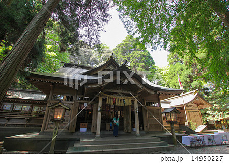 高千穂神社 14950227