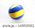 バレーボール 14950562