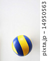 バレーボール 14950563