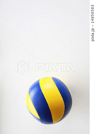 バレーボール 14950563