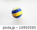 バレーボール 14950565