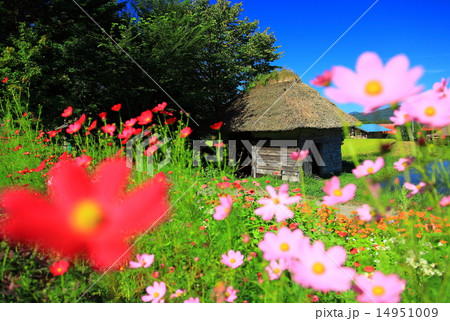 遠野　山口の水車小屋の秋 14951009