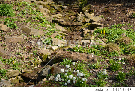 A small rock garden 14953542