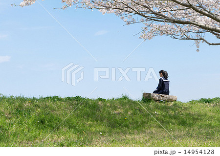 新学期２ 14954128