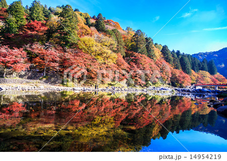 香嵐渓の紅葉 14954219