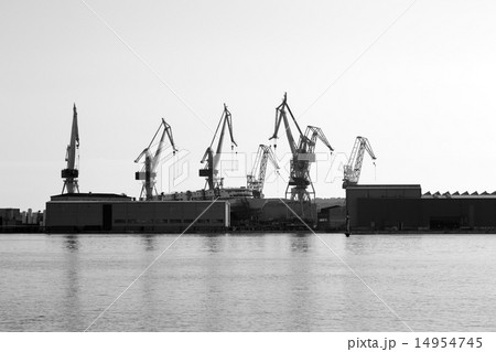 Port warehouse with cargoes 14954745