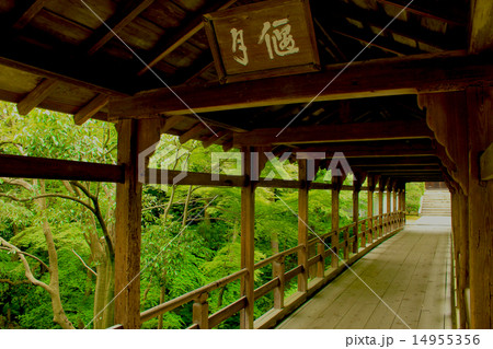 京都 東福寺 偃月橋 京都 東福寺 偃月橋 14955356