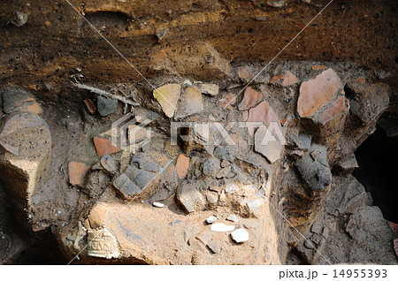 縄文土器の発掘 14955393