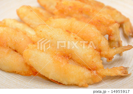 おいしいフグの唐揚げ 14955917