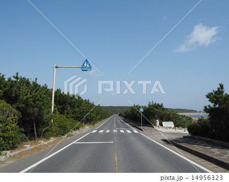 青空の一本道 青空の一本道 14956323