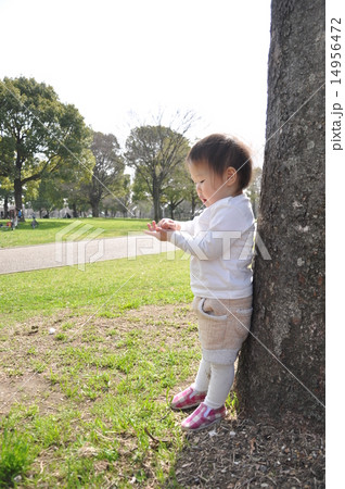 木にもたれる子ども 14956472