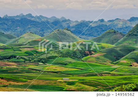 Rice fields on terraced in Vietnam Rice fields on terraced in Vietnam 14956562