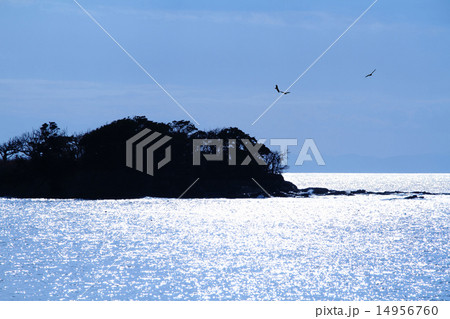 岬 14956760