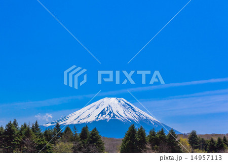 森と富士山 森と富士山 14957113