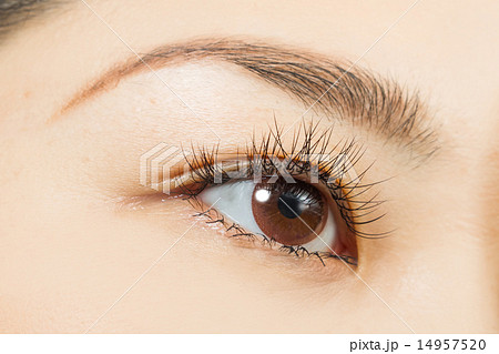 アジア人 つけまつげとブラウンカラーコンタクトレンズ Eyes of the Asian woman アジア人 つけまつげとブラウンカラーコンタクトレンズ Eyes of the Asian woman 14957520